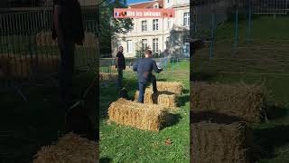 🇲🇫🐓fête les animaux parc de Ladoucette ville de Drancy paris france 🐅🗼 [upl. by Atekihc]