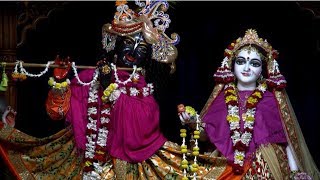 Mangal Arati Darshan by HH Bhaki Charu Swami March 2 2019 [upl. by Eirised]