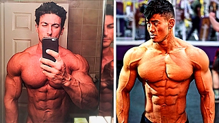 Sadik Hadzovic vs Steven Cao  Aesthetic Motivation [upl. by Vikki]