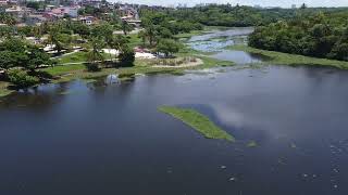 Parque Metropolitano de Pituaçu Salvador  Bahia [upl. by Frankie222]