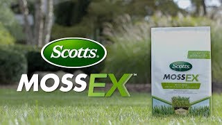 How to Kill Moss in Your Lawn with Scotts® MossEX™ [upl. by Laurena]