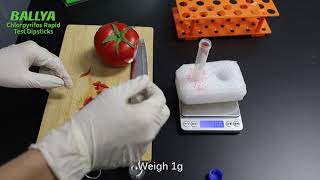 Chlorpyrifos Test  Detection of Chlorpyrifos in Tomato  BALLYA [upl. by Rugg]