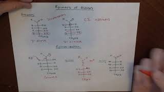 Epimers of Monosaccharides [upl. by Eardna]