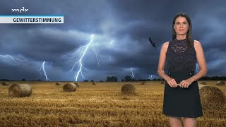 Stephanie Meissner  MDR Wetter  25082023 [upl. by Adnara]