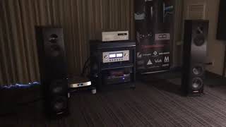 Magico A3’s with Luxman 509x and D08u at Florida Audio Expo 2019 [upl. by Saidee]