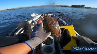 Dungeness Crab season opener at Bodega Bay [upl. by Adnilam1]