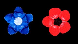 Bleuet et Coquelicot pour le Jour du souvenir [upl. by Dustin]