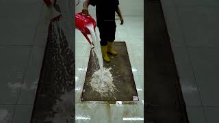 Pile Lifting – Lifts carpet fibers to restore appearance [upl. by Aneled626]