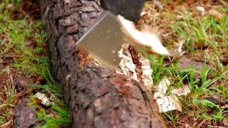 Gator combo axe II chopping wood [upl. by Willamina]