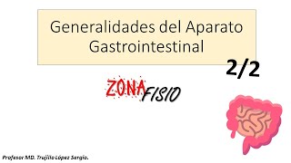 FISIOLOGÍA APARATO GASTROINTESTINAL GENERALIDADES 22 [upl. by Vachill76]