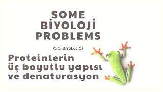 Proteinlerin 3 boyutlu yapısı ve Denaturasyonu [upl. by Onivla]