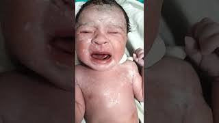 baby loudly crying after birth first timenewbornbabymomentbabyshortsnicubabycutebabybabyshorts [upl. by Aramoiz]