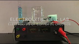 Electrolytic Cell Virtual Lab [upl. by Sifan]