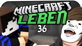 MINECRAFT LEBEN ☆ 36  WAS WÄRE WENN ☆ Minecraft Leben [upl. by Beth]