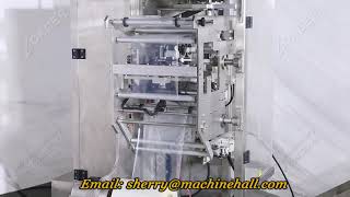 How To Package Powder Products  Bulk Powder Packaging Machine [upl. by Gladis]