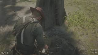 RDR2  BraithwaiteGray Gold Mystery SOLVED [upl. by Coralie]