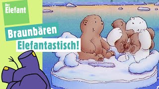 Der kleine Eisbär spielt mit den Braunbären amp Der Buchstabe B  Der Elefant  WDR [upl. by Adamina]