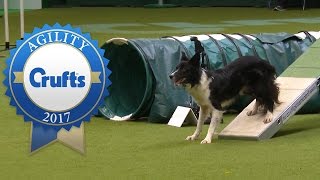 Agility Championship Final  Crufts 2017 [upl. by Eledoya]