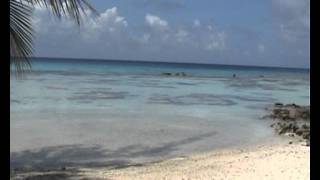 Fakarava  la plage de la pension Vaiama Villagewmv [upl. by Callan]