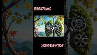 Breathing vs Respiration Whats The Difference shorts [upl. by Suiradel]