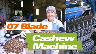 07 Blades Cashew Cutting Machine Capacity 300 kgs per hour  John Cashew Machine [upl. by Tychonn]