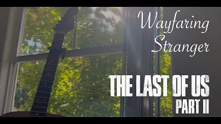 Wafaring Stranger The Last Of Us Part 2 Cover [upl. by Enahs]