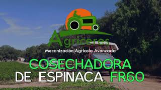 Cosechadora de Espinaca FR 60  Maquinaria Agrícola  México [upl. by Llemmart]