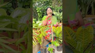 RRR Nursery Part12 comedy shorts richakka [upl. by Deeann]