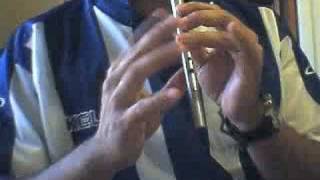 Donnybrook Fair Tin Whistle [upl. by Corso113]