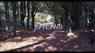 Jutland  Denmark 4k by Philipp Feldbacher [upl. by Drews961]