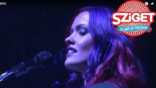 M83  Intro Live  Sziget Festival 2016 [upl. by Garlan]