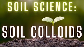 Soil Colloids What Are They [upl. by Hyacintha829]