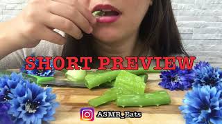 PREVIEW ASMR ALOE VERA SASASMR CHALLENGE 알로에 이팅사운드  Coming Soon [upl. by Kentigerma59]