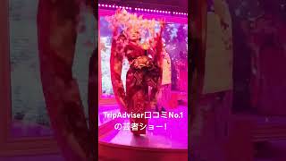 Geisha Show in Tokyo  Tantra Tokyo Show Club  芸者ショー [upl. by Ariuqahs16]