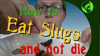 How to Eat Slugs and Live to tell the Tale [upl. by Joana61]