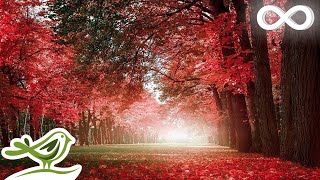 30 Minutes of Beautiful Romantic Music Guitar Music Violin Music Cello Music Piano Music ★74 [upl. by Maretz]