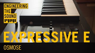 Expressive E Osmose  Full Demo and Review [upl. by Lubin736]