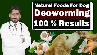 Natural Worm Treatment for Dogs  Homemade  Dog Deworming  Vet Furqan Younas [upl. by Ahsienaj]