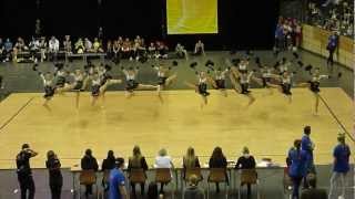 Landesmeisterschaft 2013 im quotCheerdancequot Dance Deluxe BBCM 2013 [upl. by Timothea233]