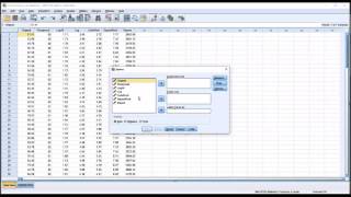 Comparing Data Transformations using SPSS and Excel [upl. by Etnud]