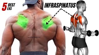 TOP 5 INFRASPINATUS MUSCLE WORKOUT AT GYM [upl. by Atena]