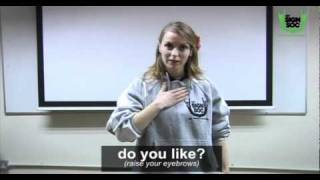 Basic Phrases in Irish Sign Language 01 [upl. by Anaz]