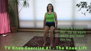 Resolving Knee Pain  Knee Strengthening Exercise  Seated Knee Lift [upl. by Anerom323]