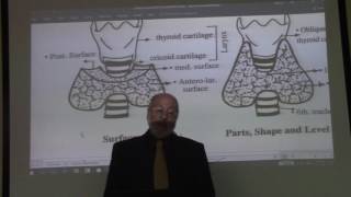 Endocrine module 1  thyroid gland  part 1   by Dr Wahdan [upl. by Ellerd773]