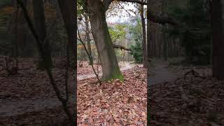 MTB route Holten is weer open 1 november 2024 [upl. by Tam807]