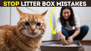 Critical Litter Box Mistakes Every Cat Owner Should Know [upl. by Nalek511]