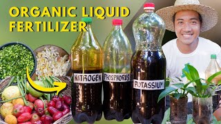 Creating Fermented Complete Organic Fertilizer  NitrogenPhosphorusPotassium  Super Easy [upl. by Divine963]