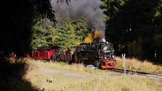 Verspätung und rutschige Schienen  Dampflok 99 7245 stürmt nach Benneckenstein [upl. by Alded]