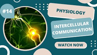 Physiology  Intercellular communication  lecture 16  By shahed tanineh [upl. by Soble]