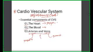 Hypertensive Medicines Pharmacology [upl. by Metzgar544]